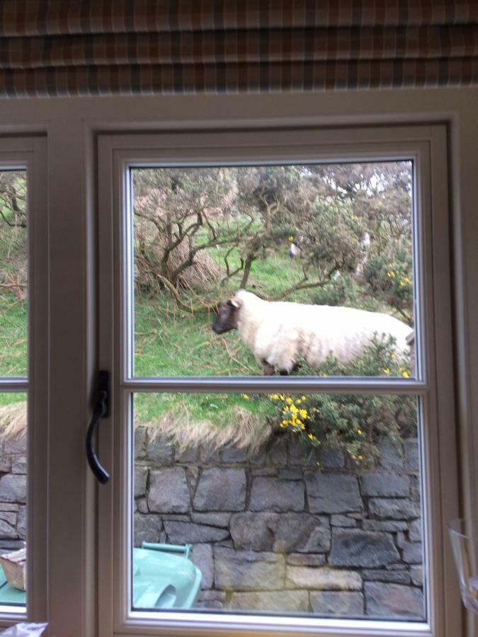 Rhiw 2 Bryn Tirion Villa Bagian luar foto